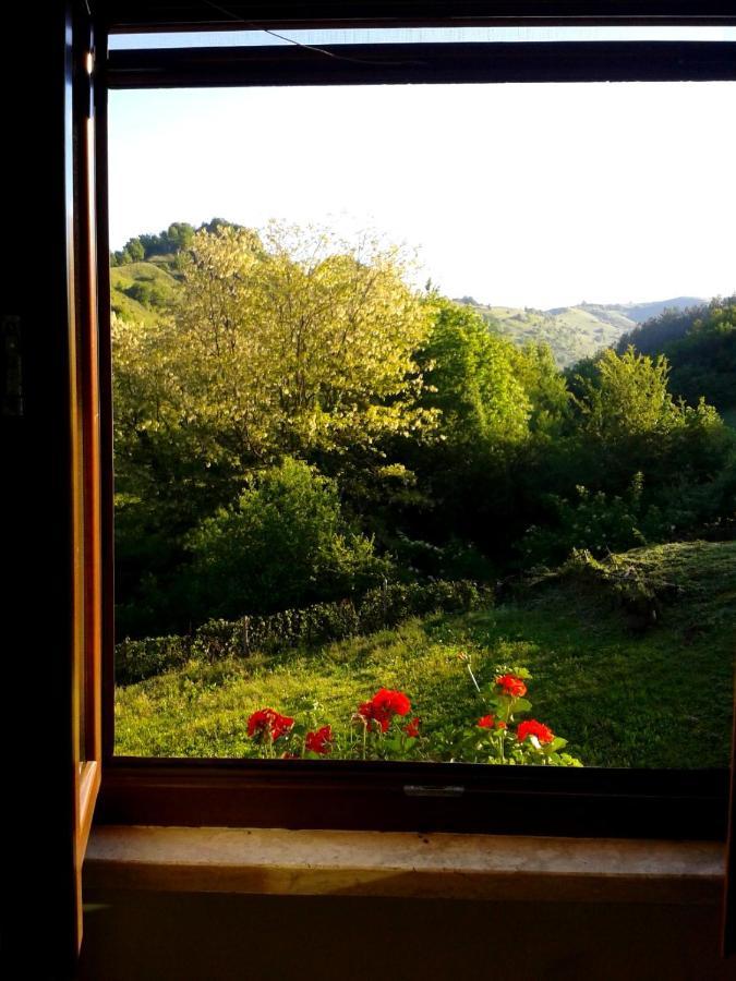 Agriturismo Il Casale Pica Posta Dış mekan fotoğraf