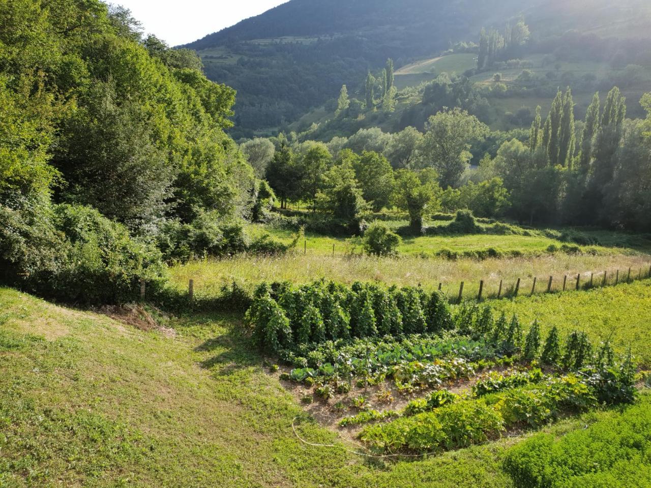 Agriturismo Il Casale Pica Posta Dış mekan fotoğraf