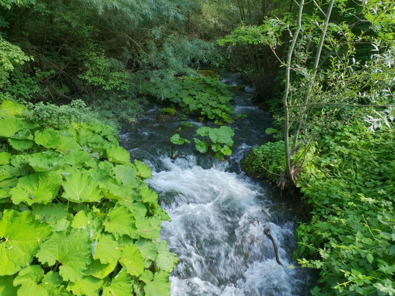 Agriturismo Il Casale Pica Posta Dış mekan fotoğraf